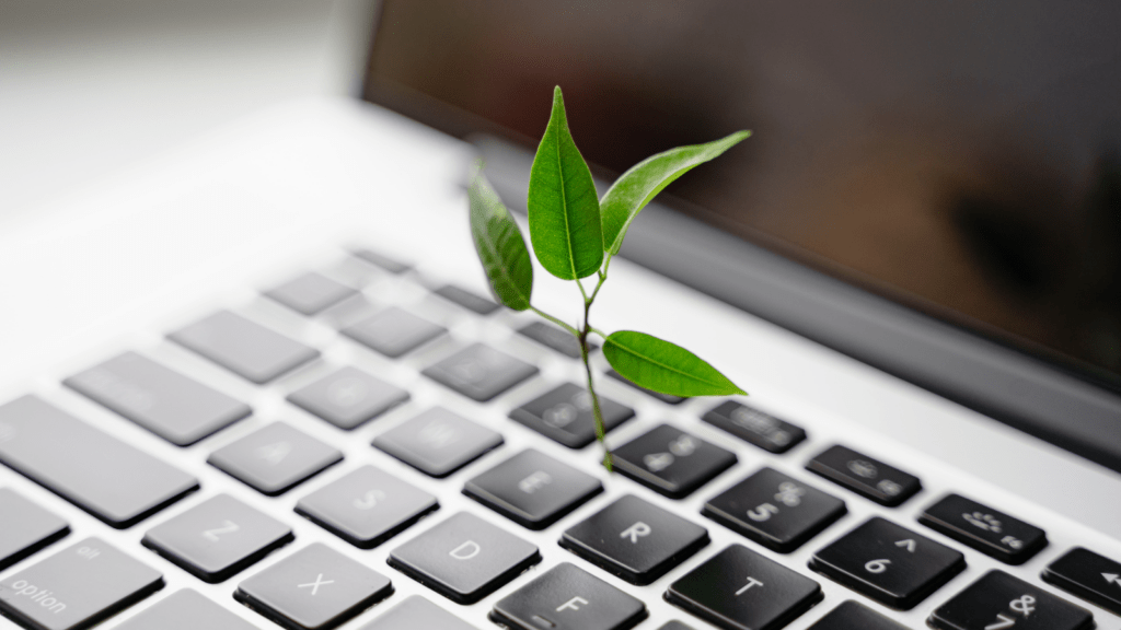Grüne Pflanze wächst aus Computertastatur